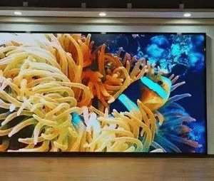 P1.5 Indoor LED Video Wall in Beas