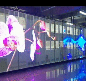Transparent LED Display Solutions in Gujarat