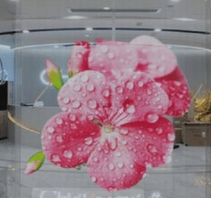 Transparent LED Screen Manufacturer in Patiala